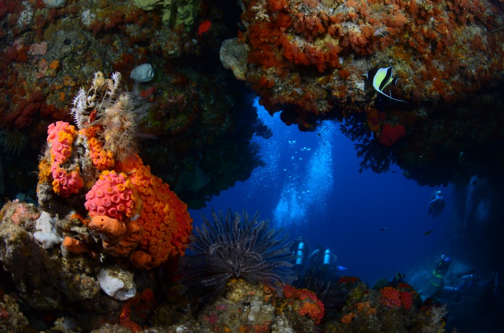 In the dry season, the waters in Ambon is crystal clear.