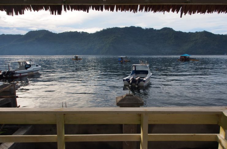 View of Lembeh Strait from the Beach Villa