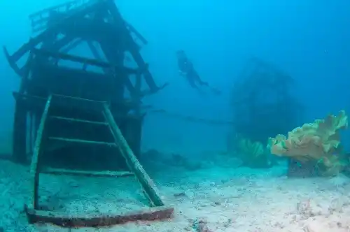 The house reef beneath the dive rig.