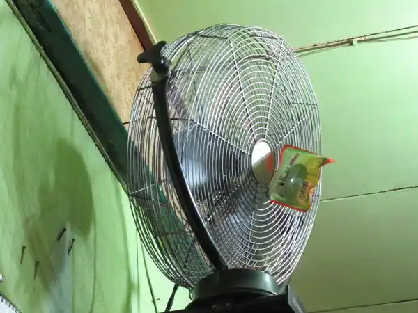 A ceiling fan with a built-in air freshener at the restaurant.