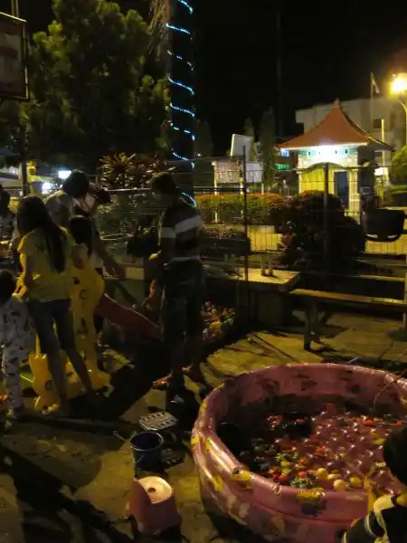 Children playing at the ball pit, Nunukan town square.