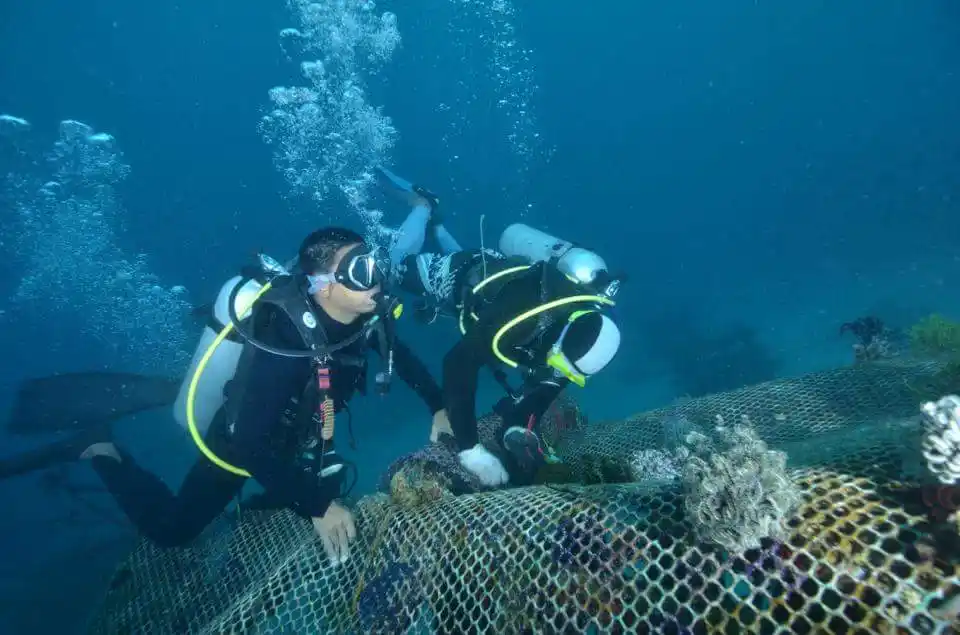 Off-duty divemasters building artificial reef structures at the house reef.