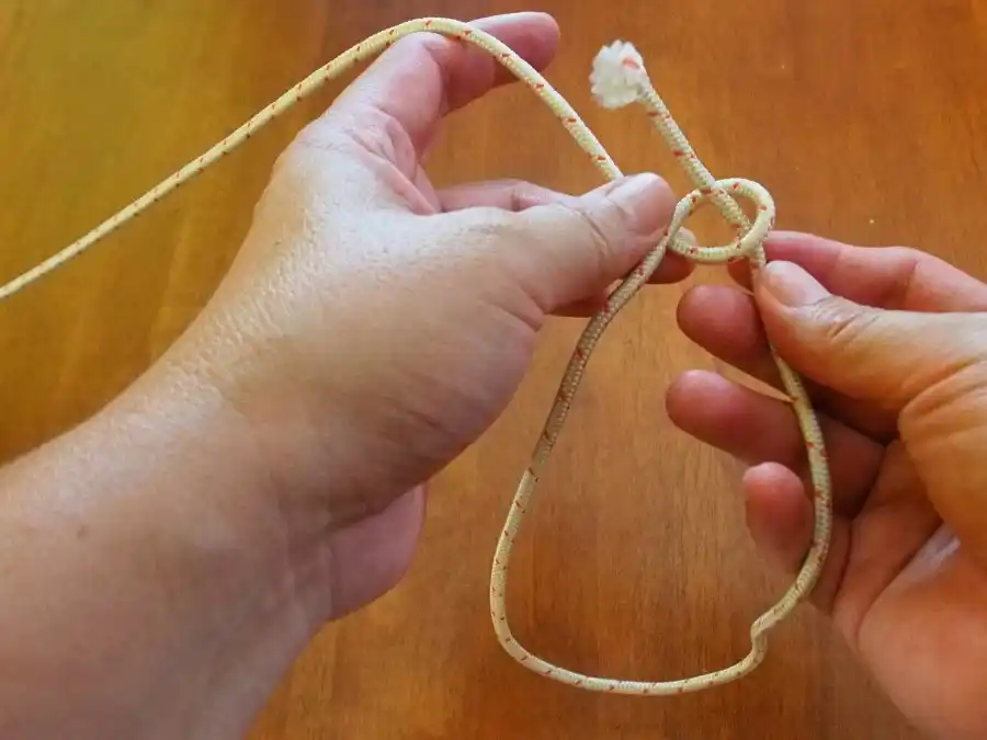 Bowline knot, step 3: wrapping the working end around the standing line.