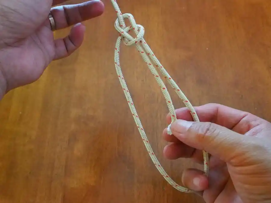 Bowline knot, step 5: tightening the shape.
