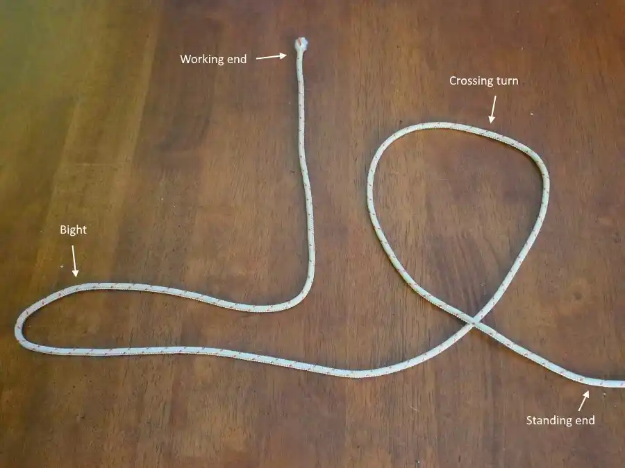The parts of a line: working end, bight, crossing turn, and standing end.