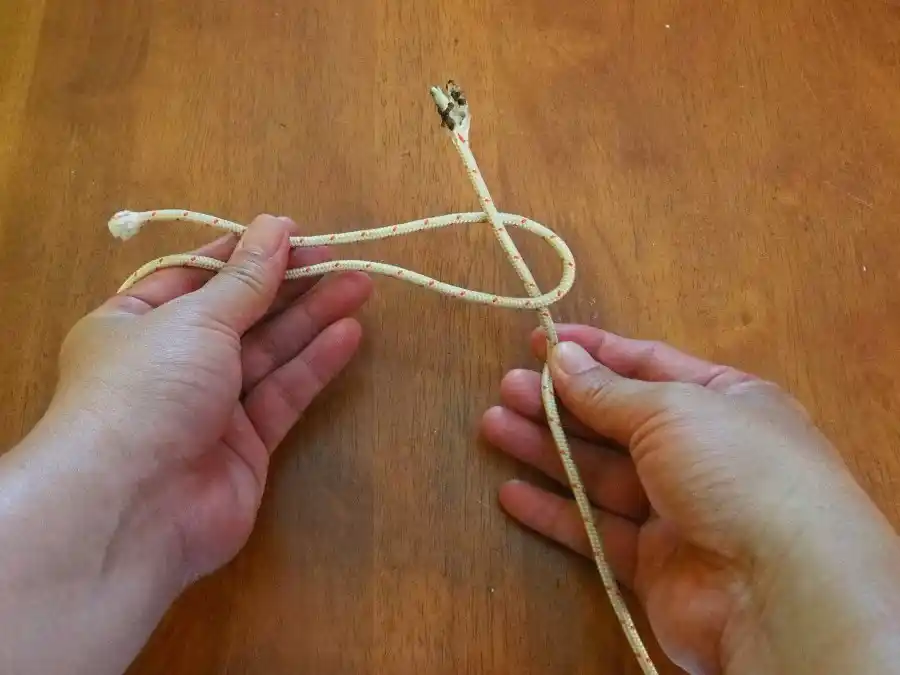 Sheet Bend, step 2: passing the second line through the bight.