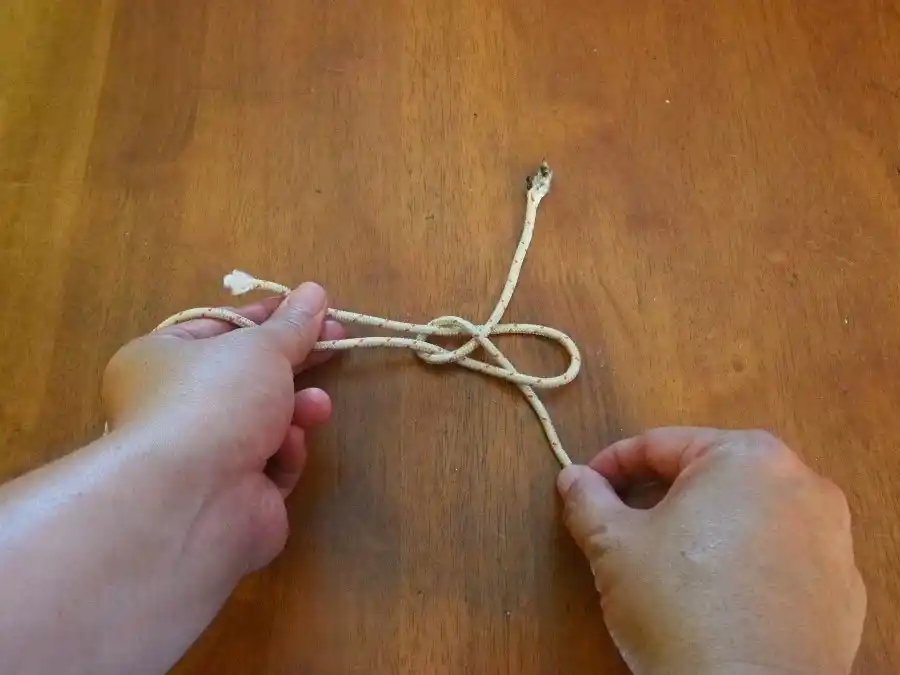 Sheet Bend, step 4: tucking the working end under itself.
