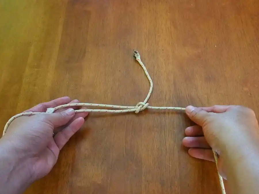 Sheet Bend, step 5: the finished bend joining both lines.