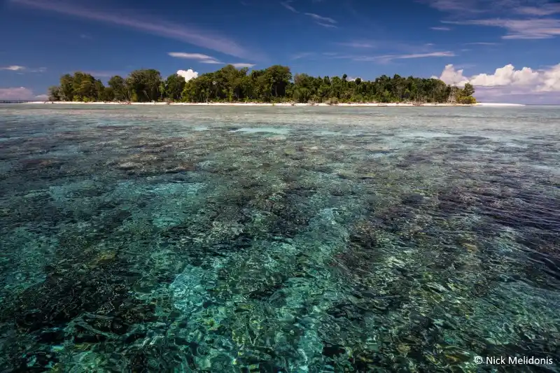 Underwater landscape near Mabul.