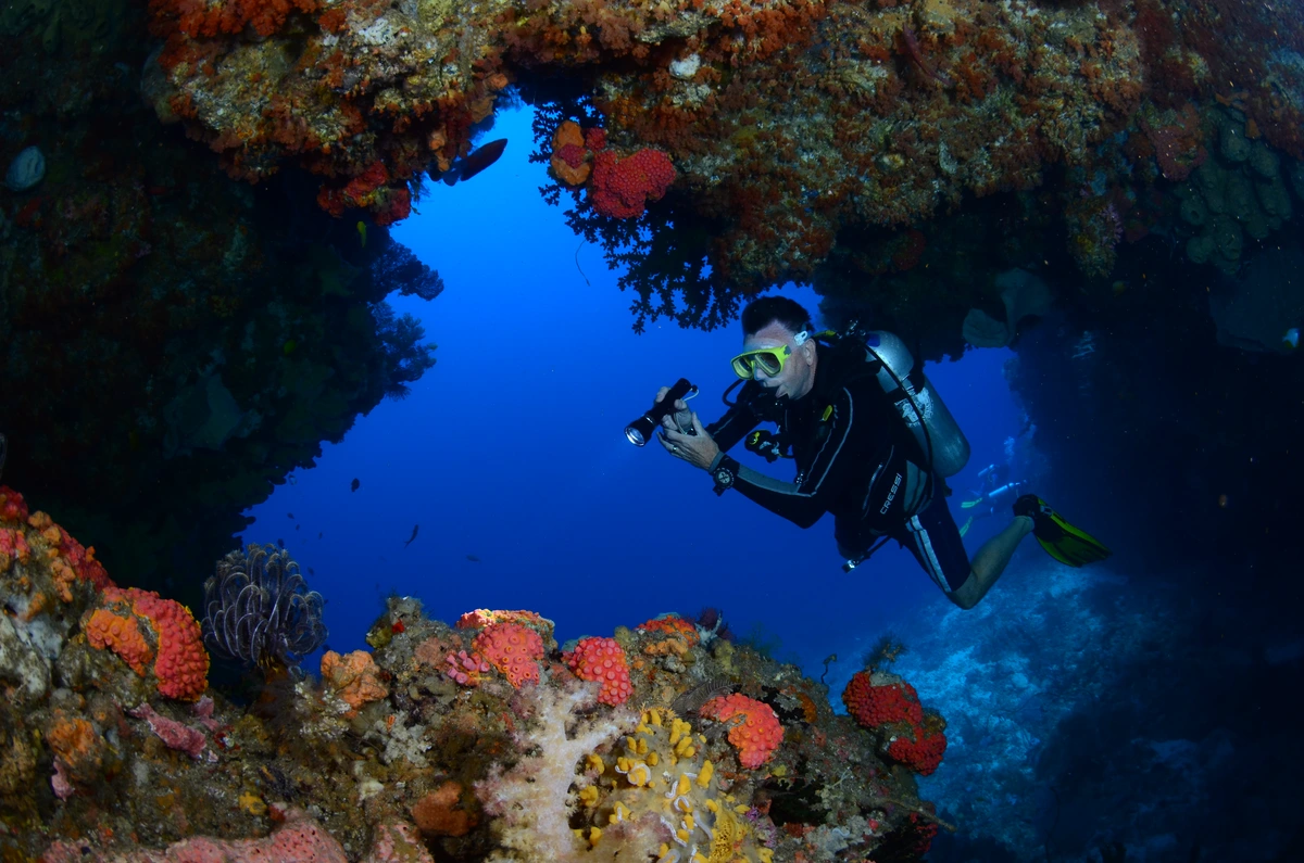 The outer reef wall on Ambon's southern coast.