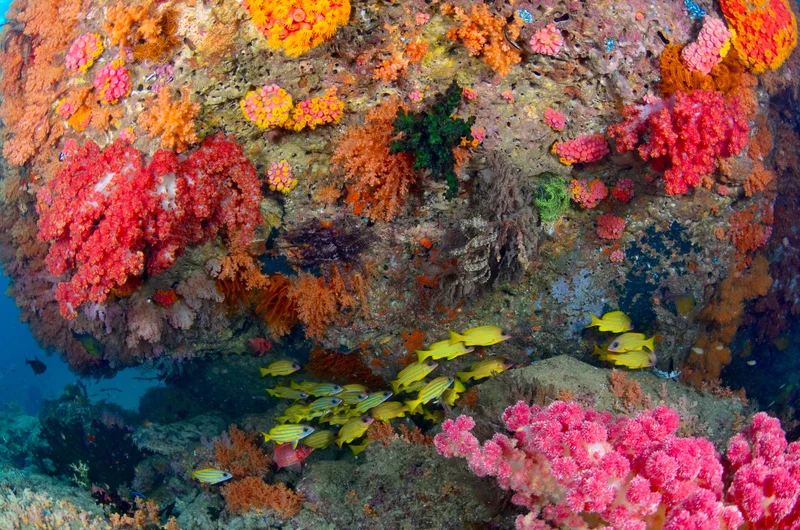 Triton Bay