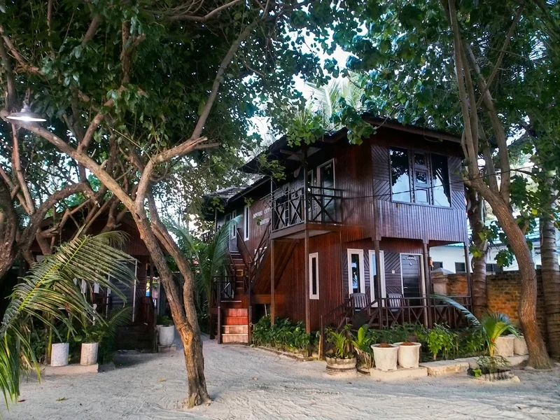 The exterior of the quad complex, surrounded by lush tropical forest.