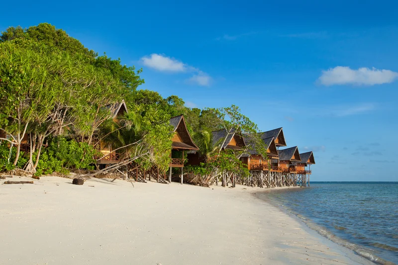 Traditional wooden chalet exterior blending seamlessly with the natural surroundings.