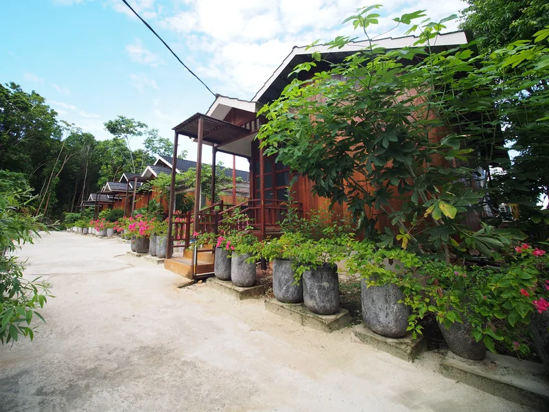 A row of Seaview Chalets among the trees and bougainvillea.