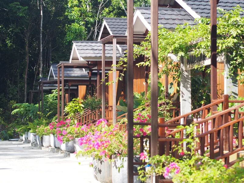 Timber chalets along the garden path, with the forest behind.