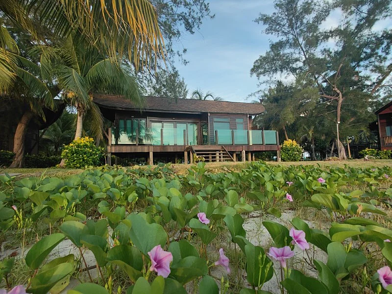 Traditional wooden exterior of the premium beach bungalows.
