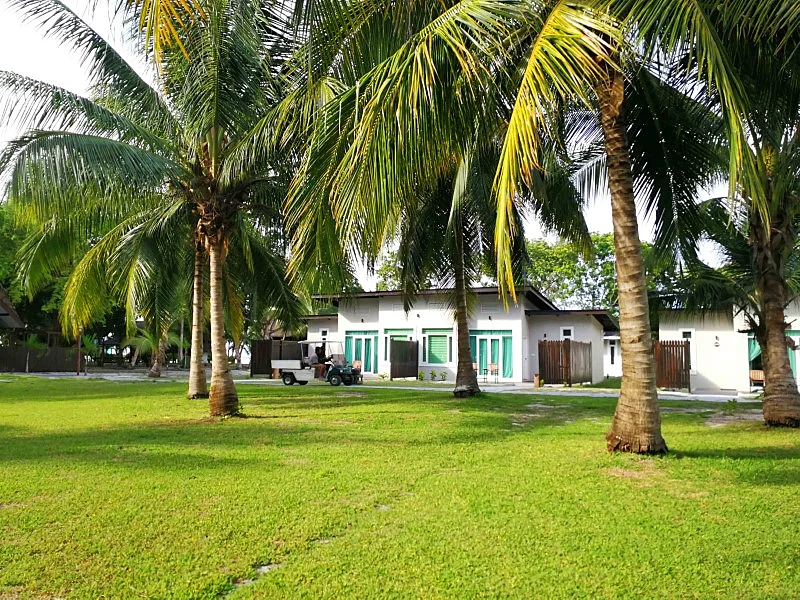 Exterior view of the linked long house style Premium units.
