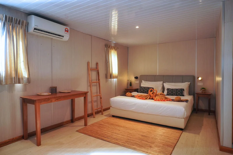 Large windows providing natural light to the premium Deluxe room.