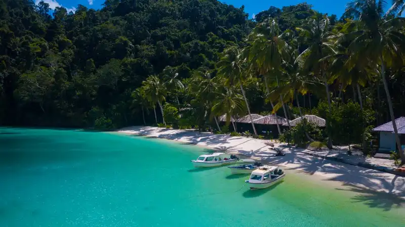 Triton Bay Divers Beach and Dive Resort